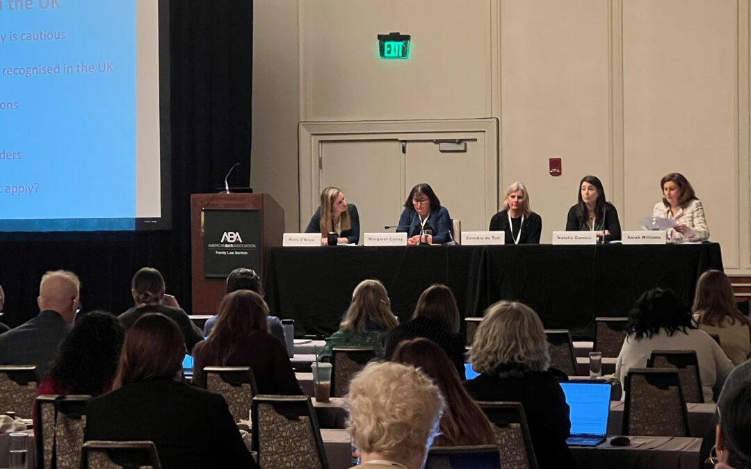 Natalie speaks at the American Bar Association conference about surrogacy law